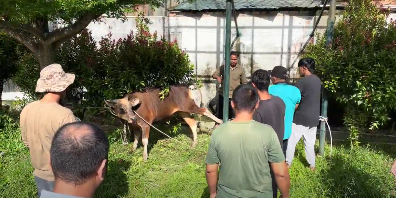 Qurban Diniyyah 1444h